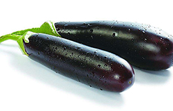 能夠通氣血的食物有哪些