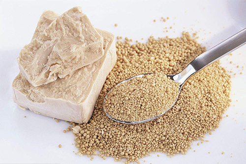 如何激發(fā)干酵母的活性