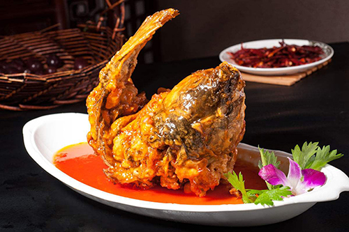 如何挑選優(yōu)質的鯉魚