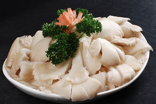 各種蘑菇正確的烹飪方法