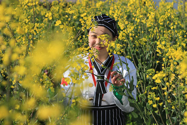 烹飪培訓(xùn)學(xué)校