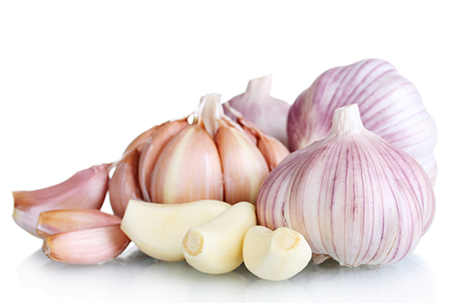 大蒜 500.jpg