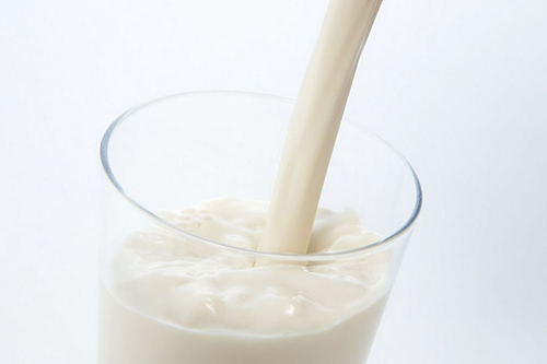 高鈣牛奶 500.jpg